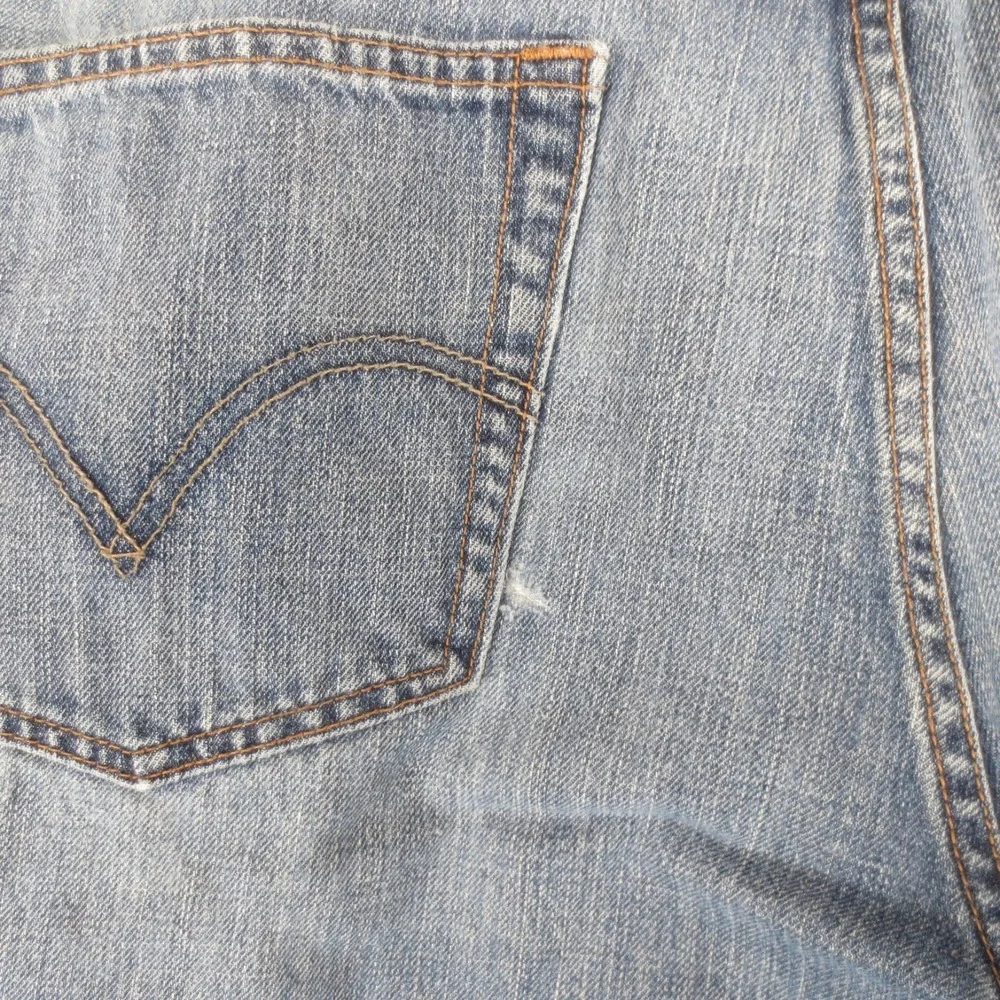 Levis levis 559